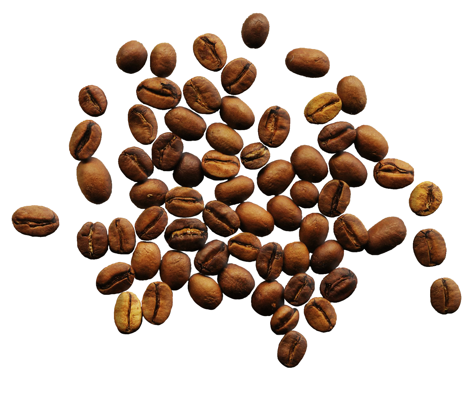 Sementes de café